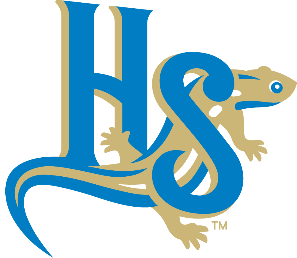 Holly Springs Salamanders 2015-Pres Secondary Logo v2 iron on heat transfer